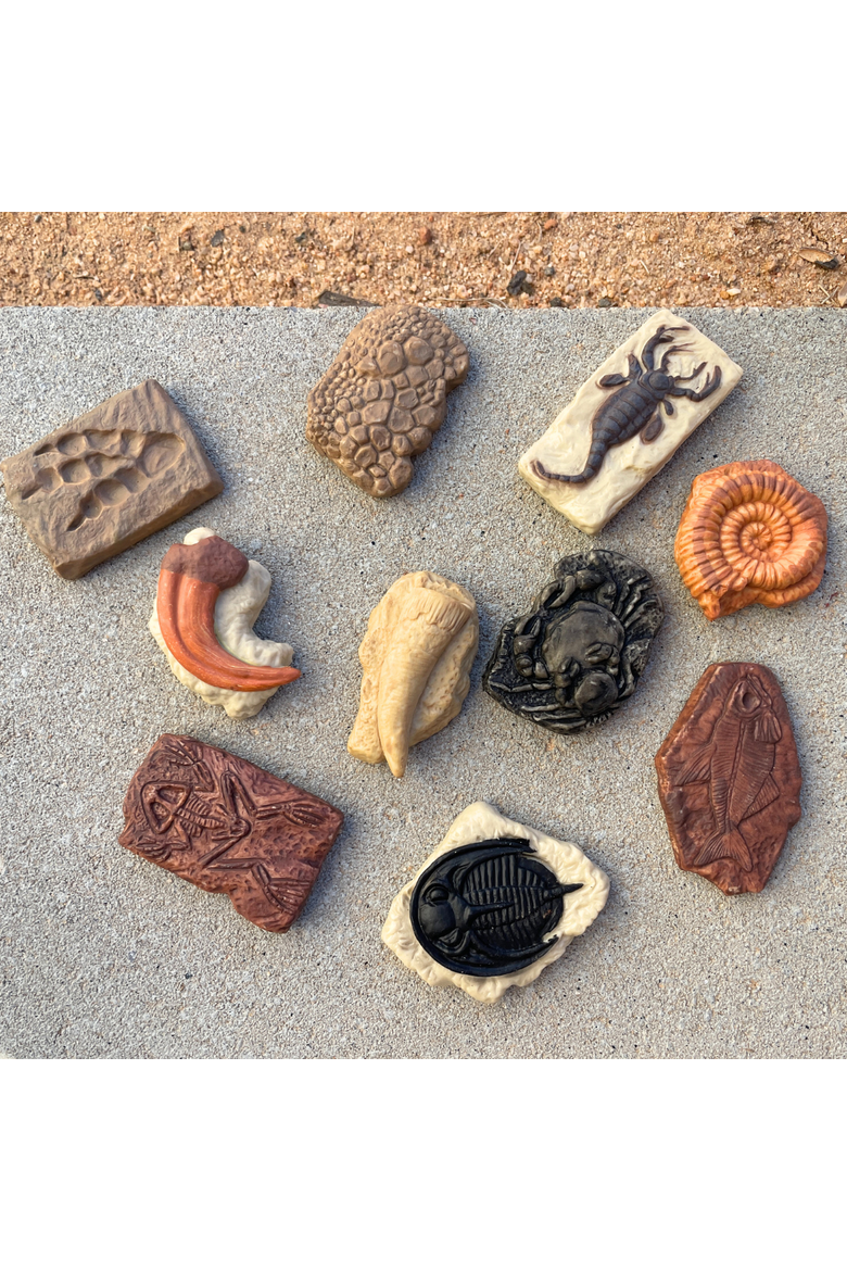 Ancient Fossils Toy, Alternate, color, No Color