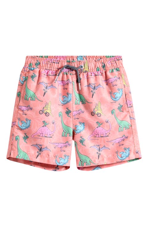 Kids' Dino Riders Swim Trunks (Big Kid)