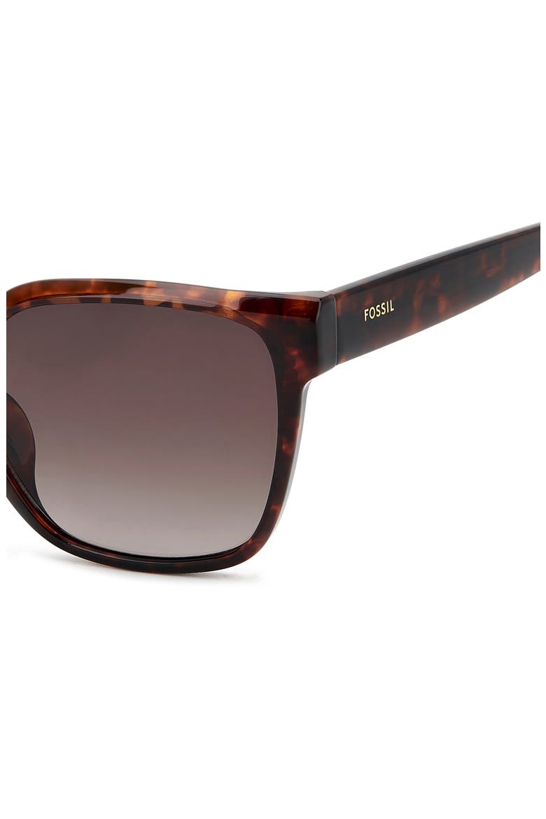 55mm Gradient Cat Eye Sunglasses, Alternate, color, HAVANA/ BROWN SF