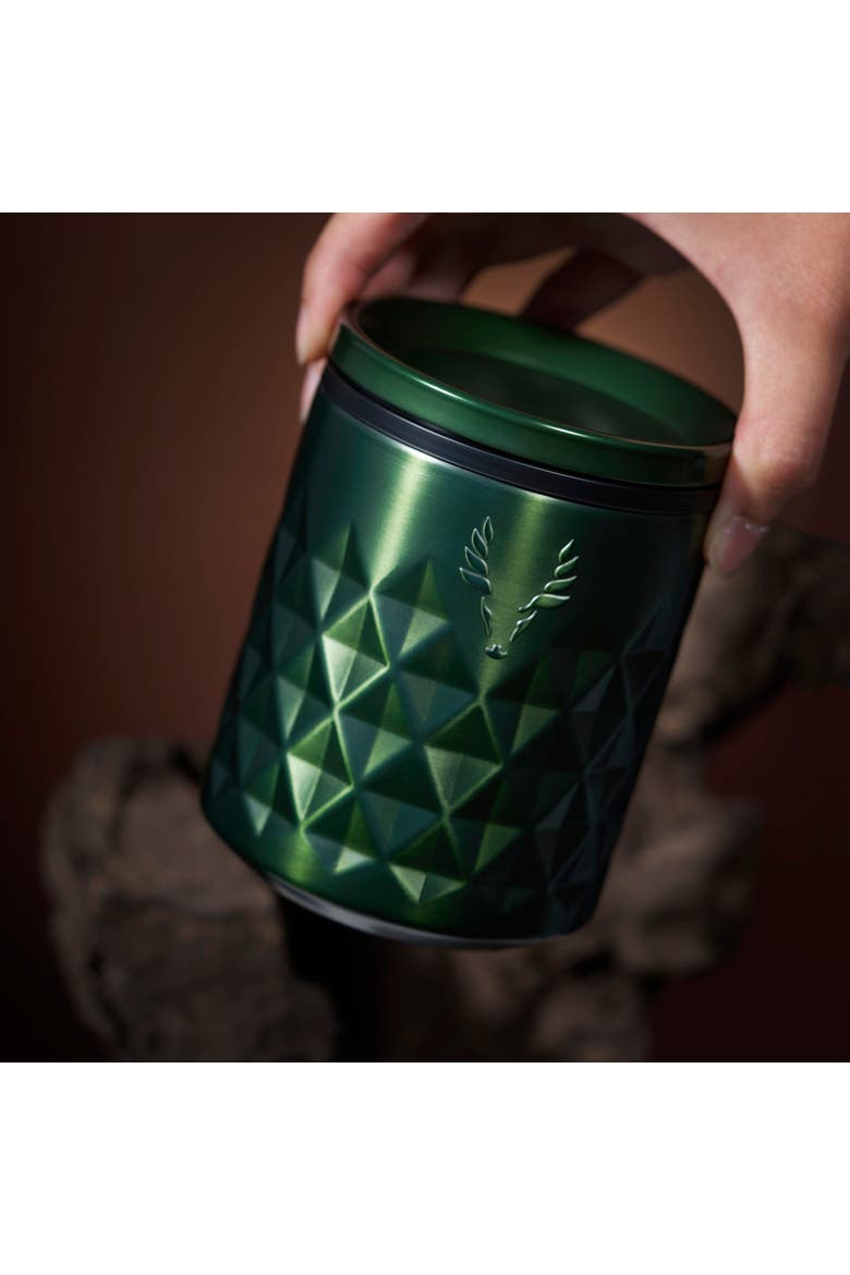 Paragon Stainless Steel Rocks Tumbler, Alternate, color, Satin Green