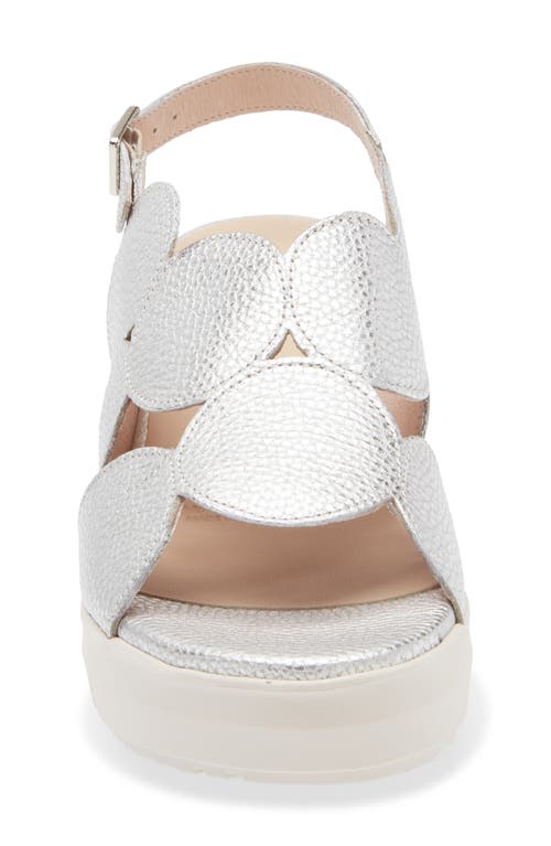 Wonders Platform Sandal In Max Plata