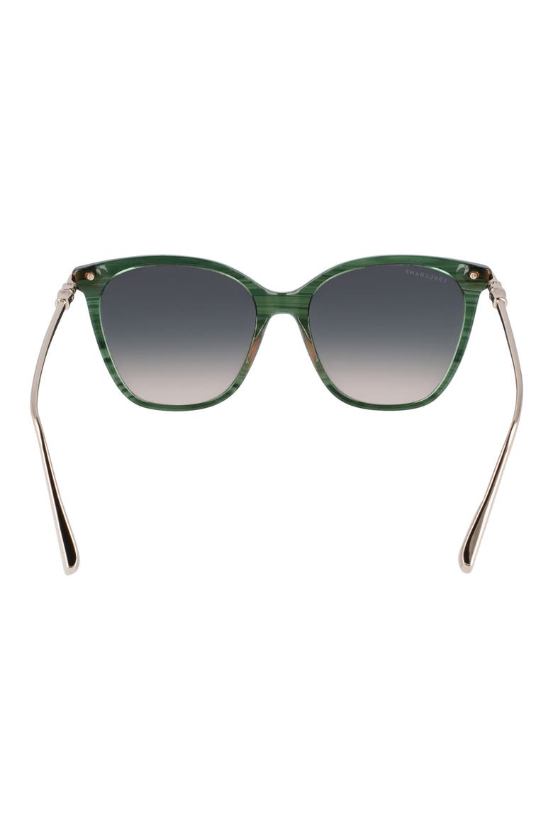 Roseau 55mm Rectangular Sunglasses, Alternate, color, STRIPED GREEN