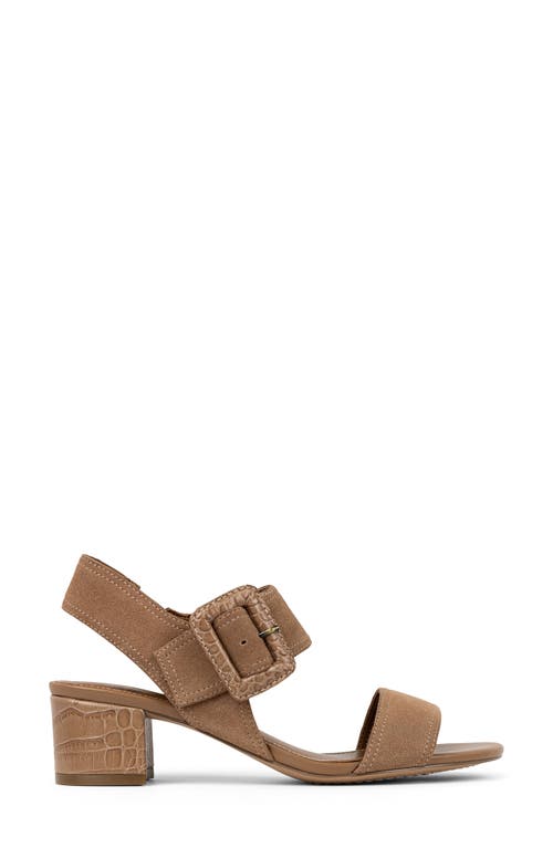 DONALD PLINER DONALD PLINER ANKLE STRAP SANDAL 