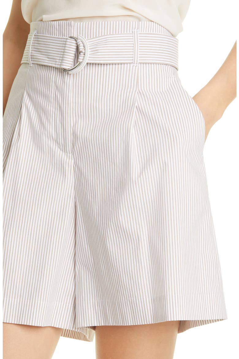 Degraw Stripe Pleated Shorts, Alternate, color, SMOKED TAUPE MULTI
