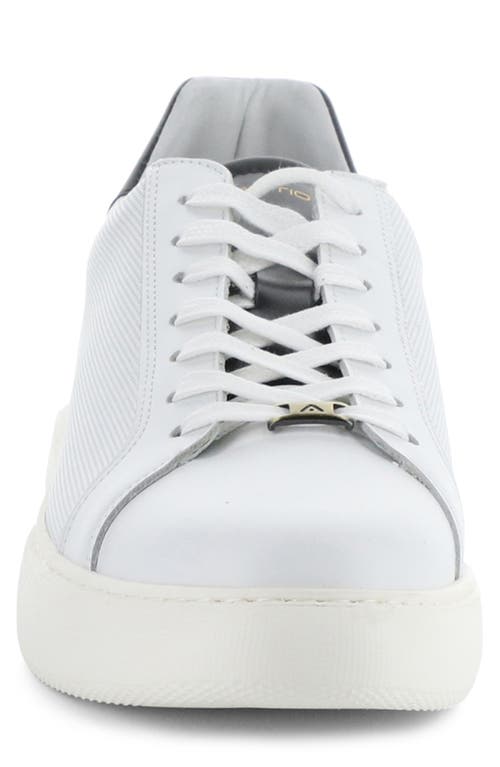 AMBITIOUS AMBITIOUS 10634A LOW TOP SNEAKER 