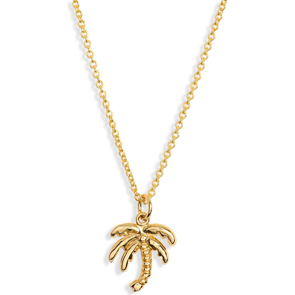 Kiara By Ki-ele Coco Palm Tree Pendant Necklace In Gold