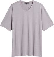 Robert Barakett Thoreau V-Neck T-Shirt