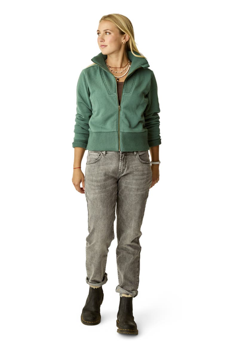 Briar Fleece Jacket, Main, color, Bistro