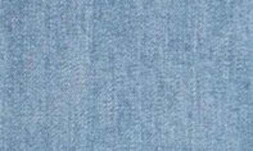 Ag Dart Denim Jacket