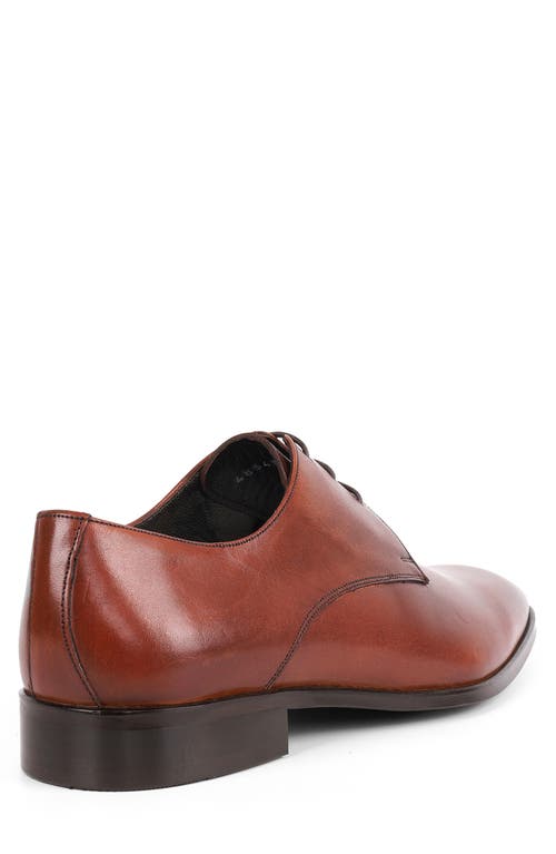 Vellapais Gorman Oxford In Cognac
