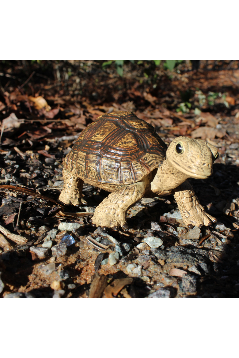 Tortoise Toy, Alternate, color, No Color