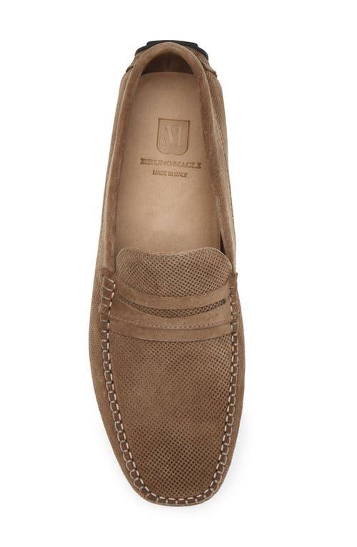 Bruno Magli Pelican Penny Loafer In Brown