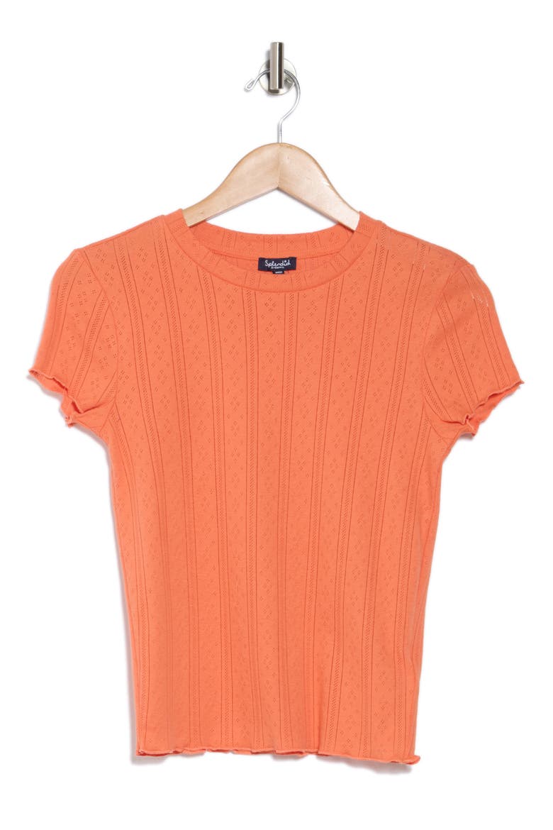Como Pointelle T-Shirt, Alternate, color, PERSIMMON