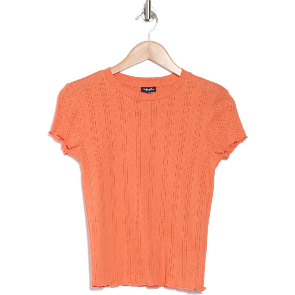 SPLENDID SPLENDID COMO POINTELLE T-SHIRT