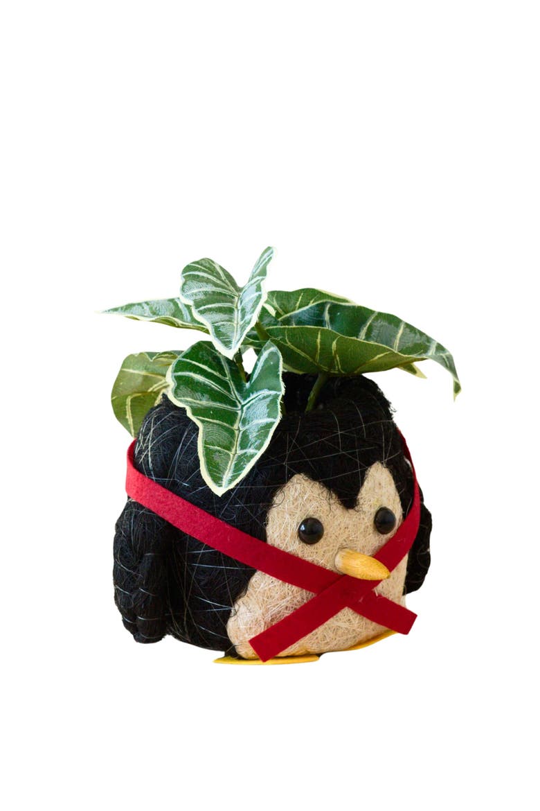 Winter Animal Coco Coir Planters, Alternate, color, Black