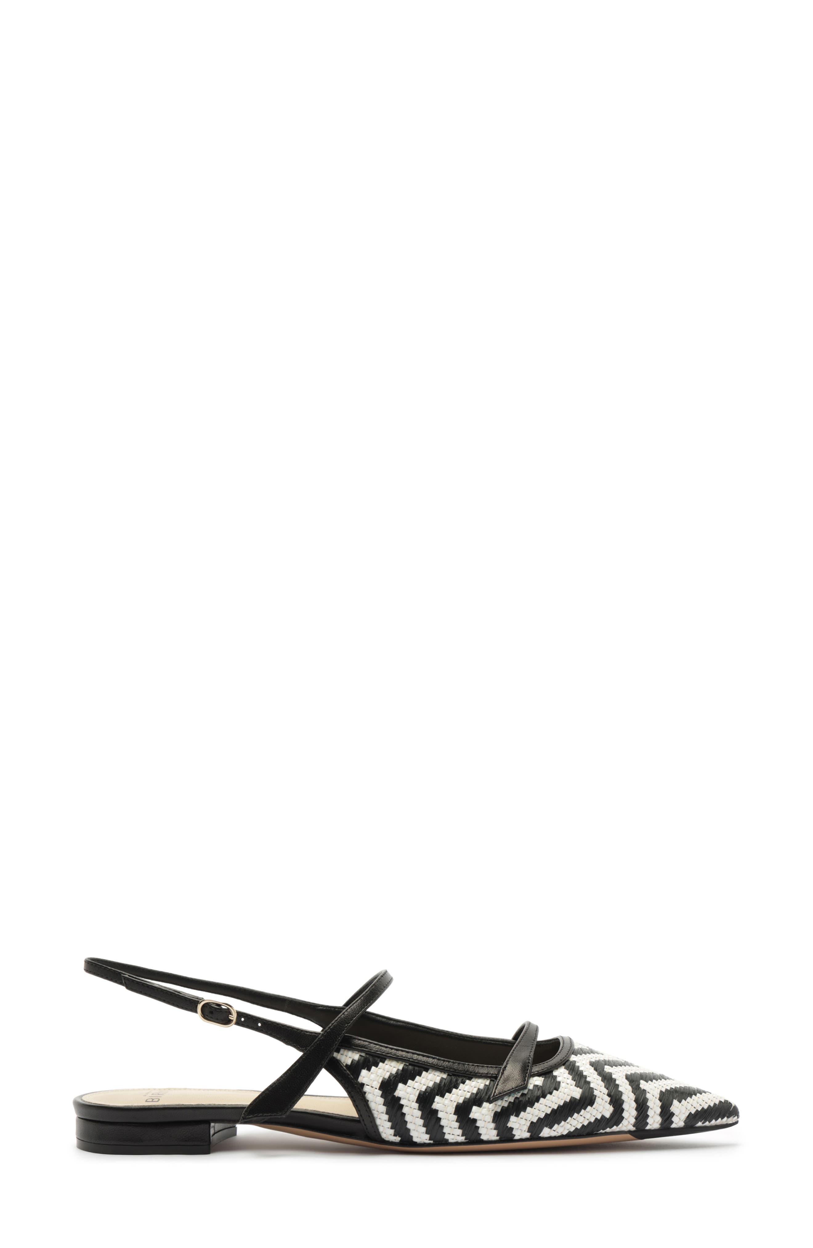 Alexandre Birman Tita Raffia Pointed Toe Slingback Flat, Alternate, color, Black