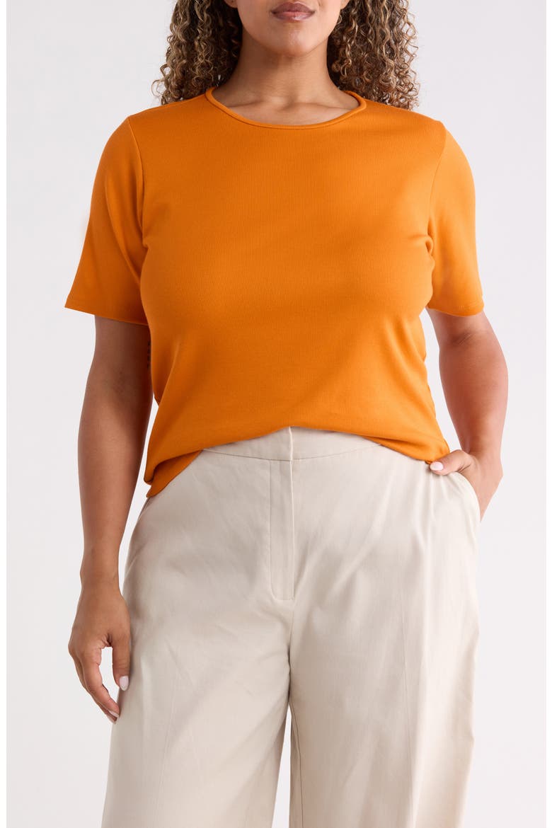 Rib Knit Stretch Organic Cotton Crewneck Top, Main, color, CLAY