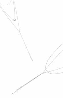 Adornia Set of 2 Assorted Lariat Necklaces