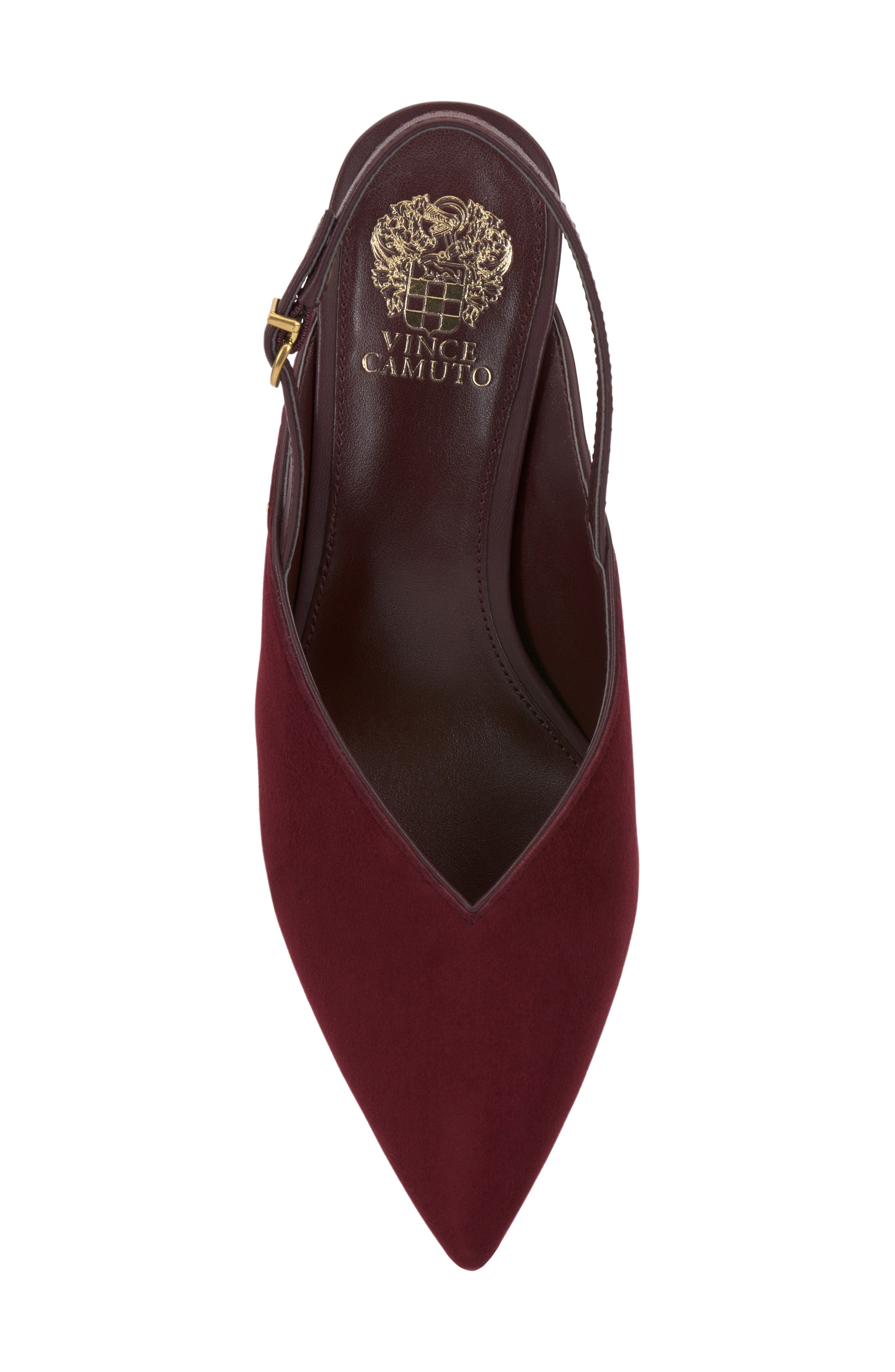 Kylien Slingback Pointed Toe Pump, Alternate, color, POMEGRANATE