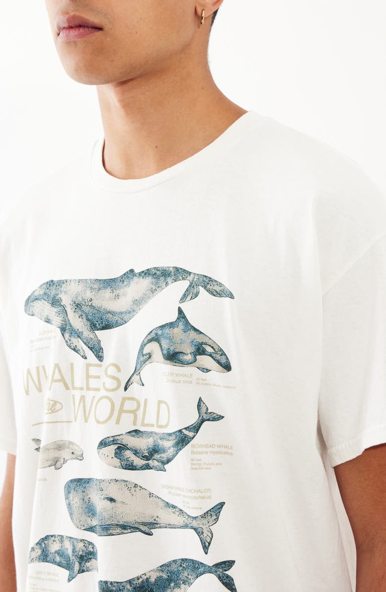 BDG Urban Outfitters Whales of the World Graphic T-Shirt, Alternate, color, 