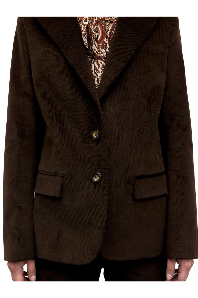 Jem Velvet Jacket, Alternate, color, Cinnamon