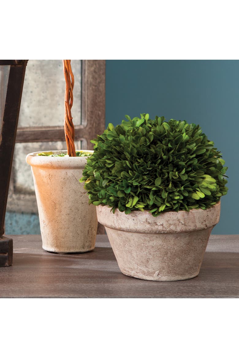 Boxwood Ball In Pot Medium, Alternate, color, Beige