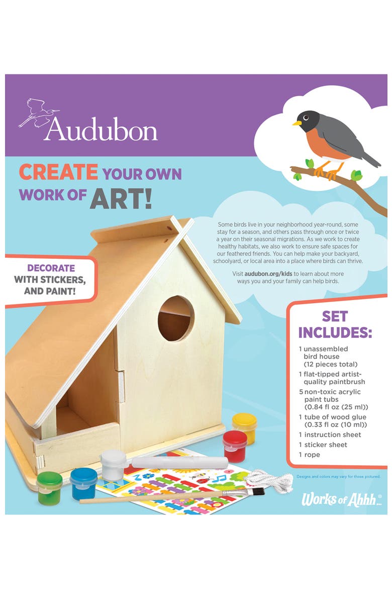 Audubon Bird House Wood Craft Kit, Alternate, color, Multicolor