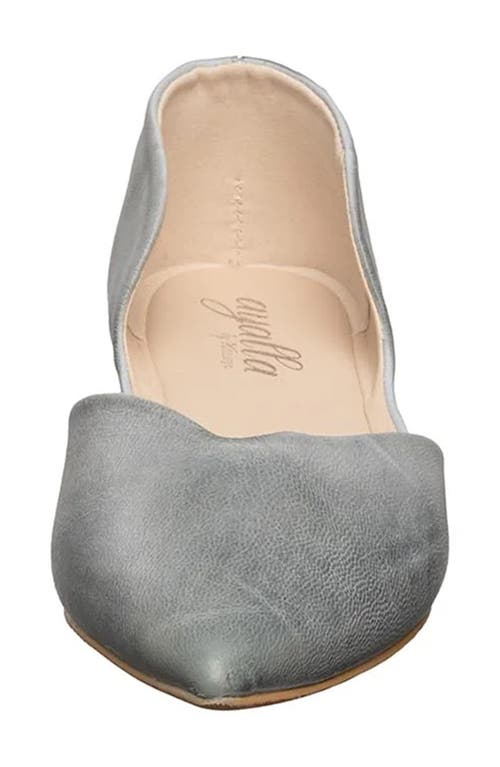 Antelope Thea Pointed Toe Flat In Blue