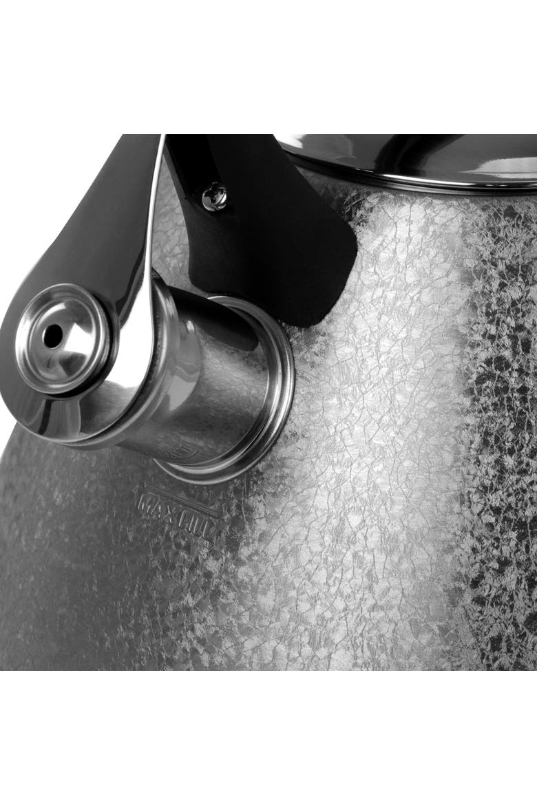 2.5 Quart Stainless Steel Whistling Tea Kettle, Alternate, color, Silver
