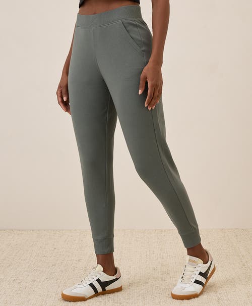 Shop Pact Organic Cotton Airplane Jogger In Castor Grey