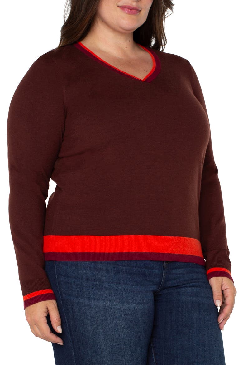 Colorblock Sweater, Alternate, color, RETRO BROWN MULTI