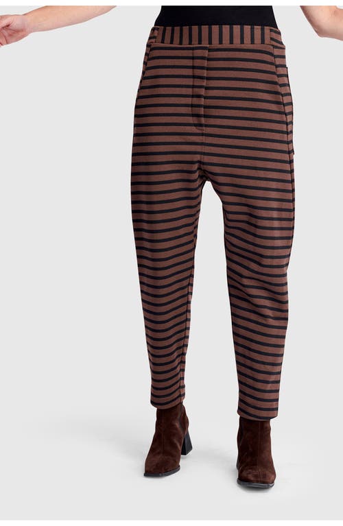 Alembika Dash Harem Pants In Multi
