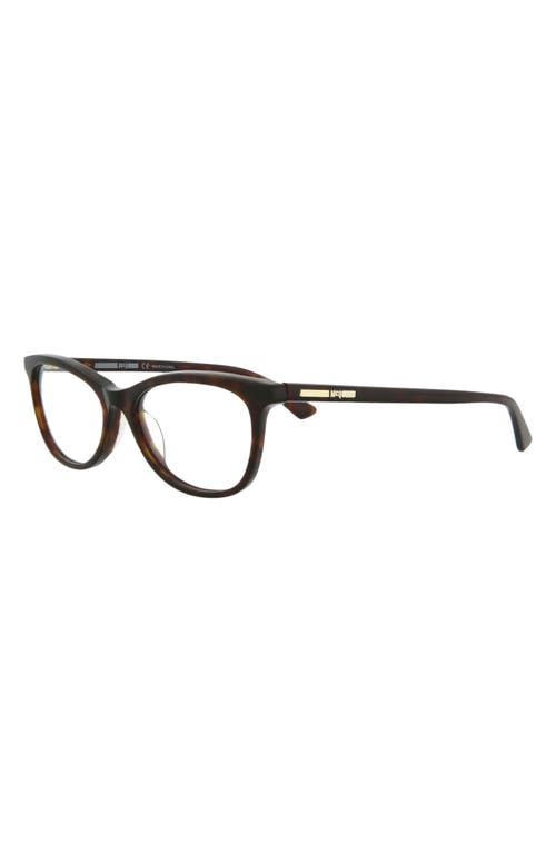 Alexander Mcqueen Mcqueen 50mm Core Oval Optical Glasses In Avana Avana Transparent