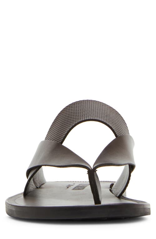 Madden Cicero Flip Flop In Brown Leather