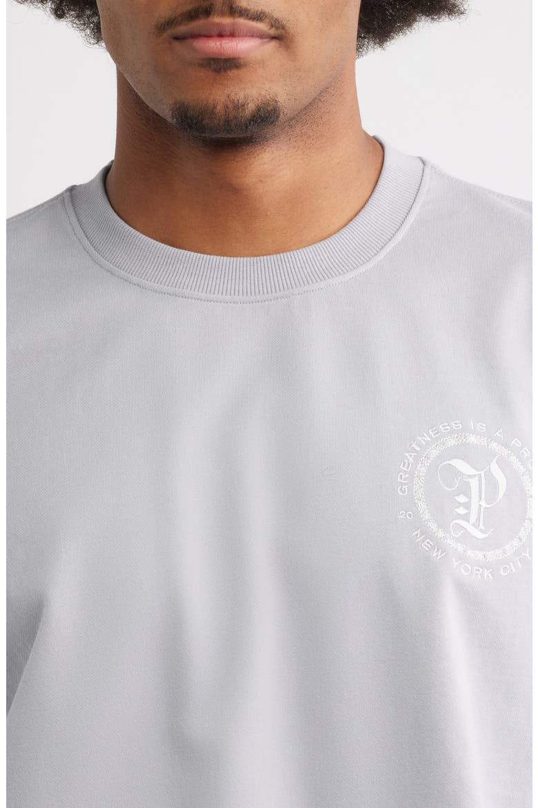Planest Terry Washed Graphic T-Shirt, Alternate, color, WASHED GREY