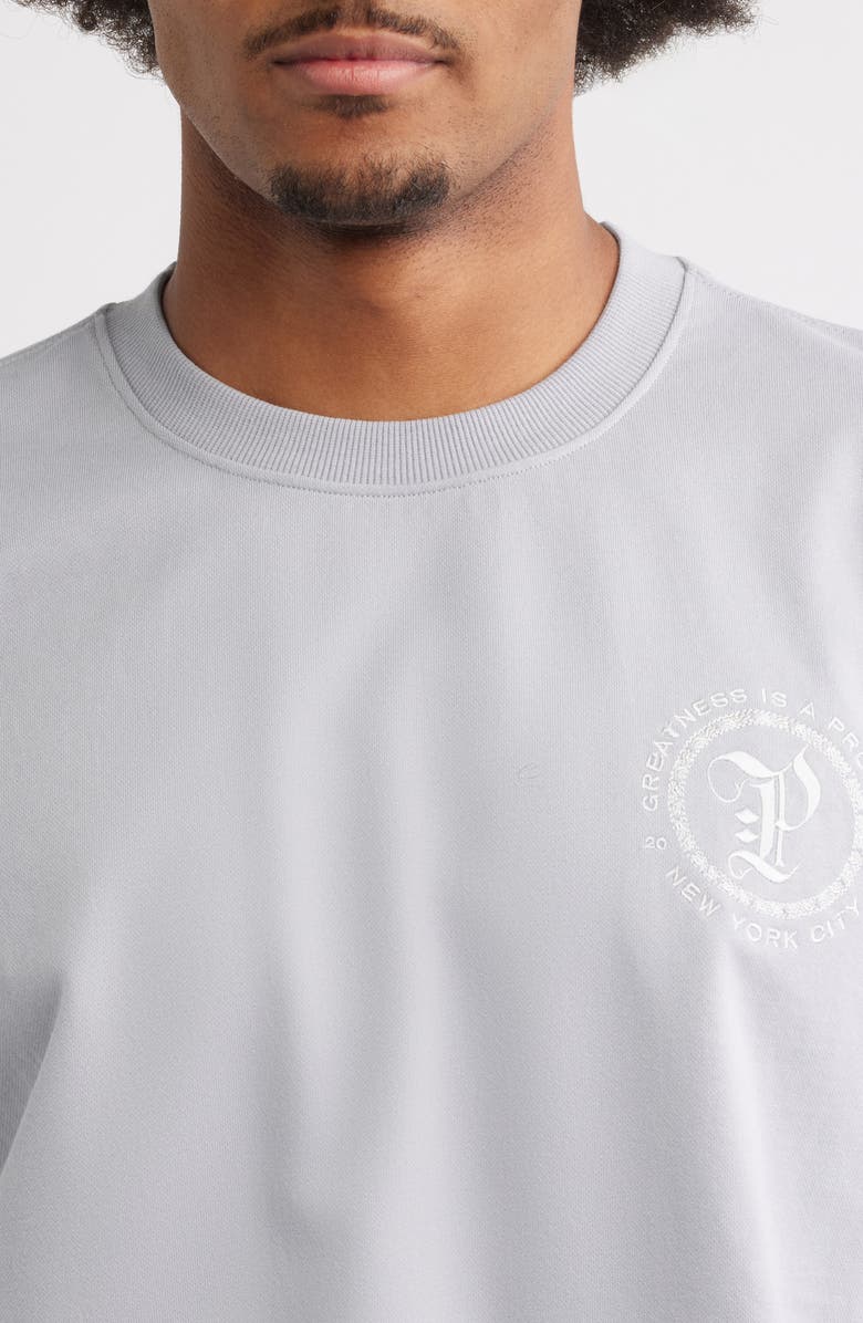 PAPER PLANES Planest Terry Washed Graphic T-Shirt, Alternate, color, Washed Grey
