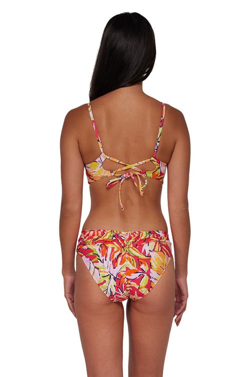 Shop Sunsets Lyla Bralette Bikini Swimsuit Top