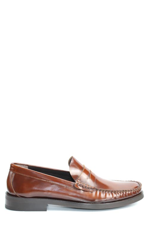 Vellapais Rozel Penny Loafer In Brown