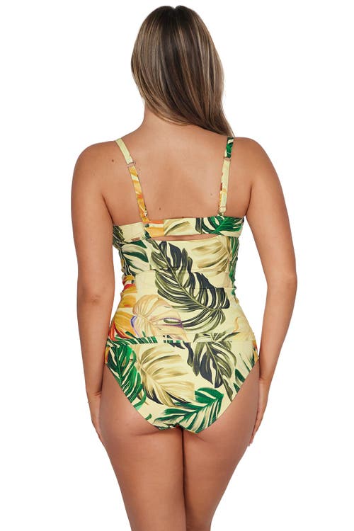 Sunsets Serena Tankini In Amber Oasis