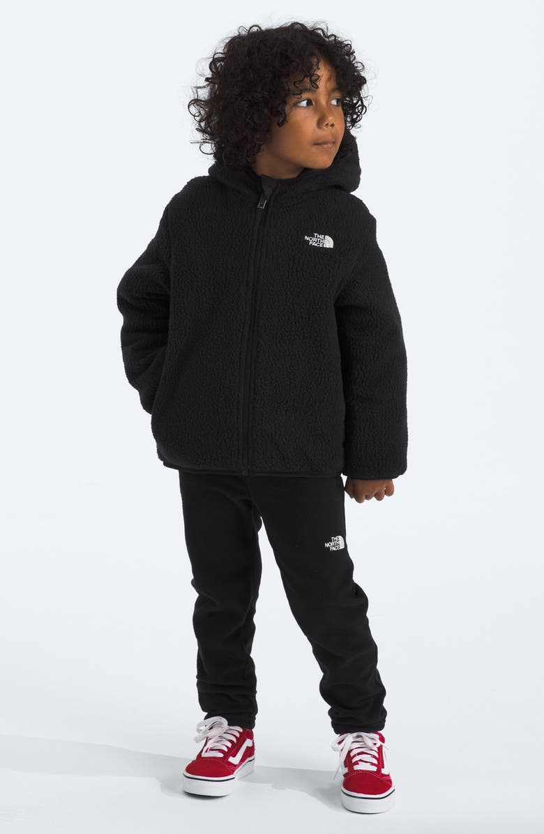 The North Face Kids' Shasta Water Repellent Reversible Hooded Jacket, Alternate, color, 