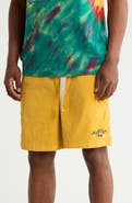 Gotcha Paradise Hills Corduroy Shorts