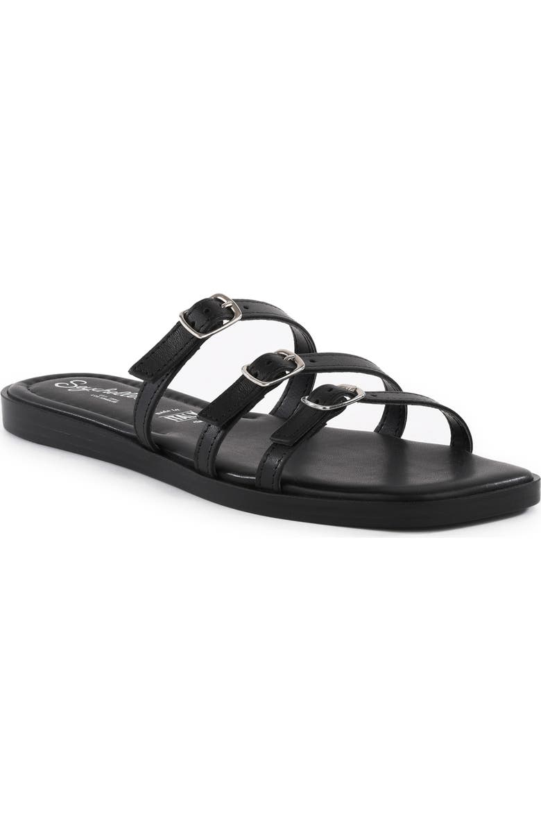 Seychelles Emi Slide Sandal, Main, color,
