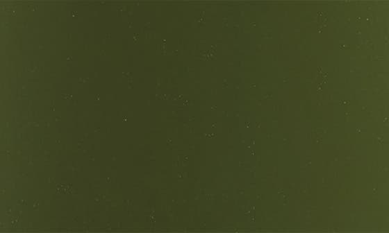 selected GREEN