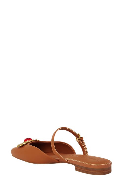 Katy Perry The Confidant Eye Embellished Mule In Saddle Brown