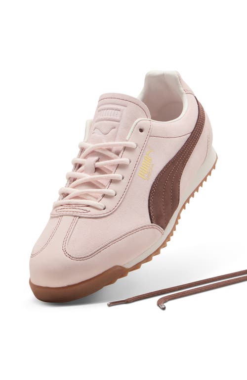 Puma Arizona Wine Club Sneaker In Multi