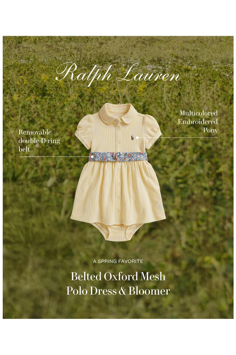 Oxford Stripe Cotton Piqué Belted Shirtdress & Bloomers, Alternate, color, WICKET YEL