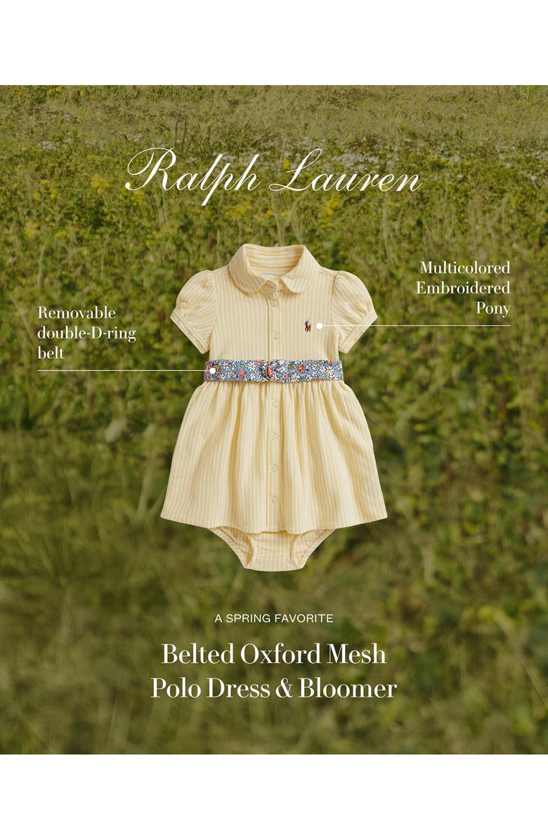 Ralph Lauren Oxford Stripe Cotton Piqué Belted Shirtdress & Bloomers, Alternate, color, Wicket Yellow Multi