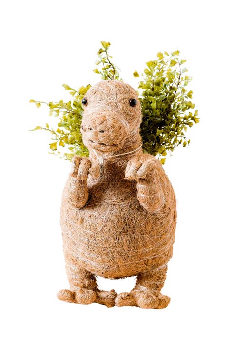 Dinosaur Coco Coir Planters