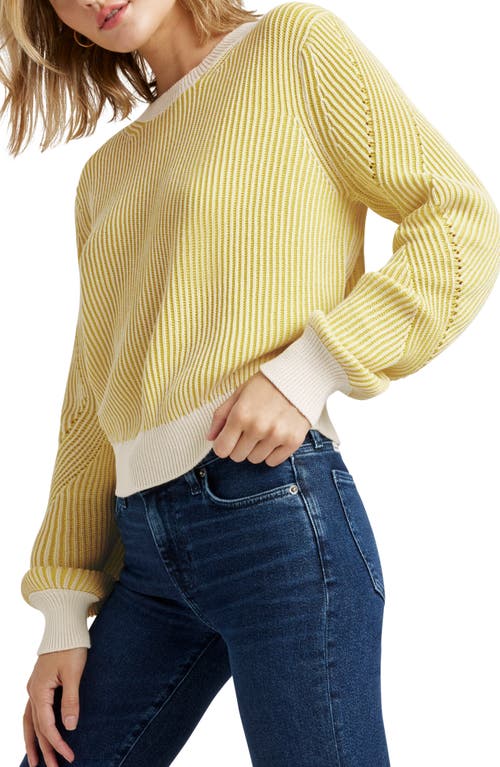 Splendid Ashlyn Rib Cotton Sweater In Yellow