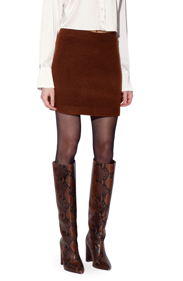 Walter Baker Arabella Sweater Miniskirt, Alternate, color, Brown
